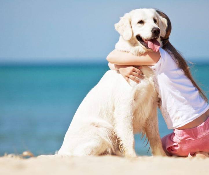 Offerta Prenota Prima Estate 2026: vacanze pet friendly a 4 stelle!